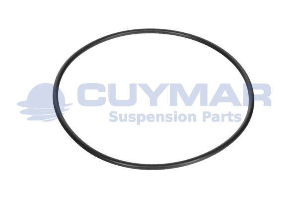 Garnitura, capac axa 3405681 CUYMAR