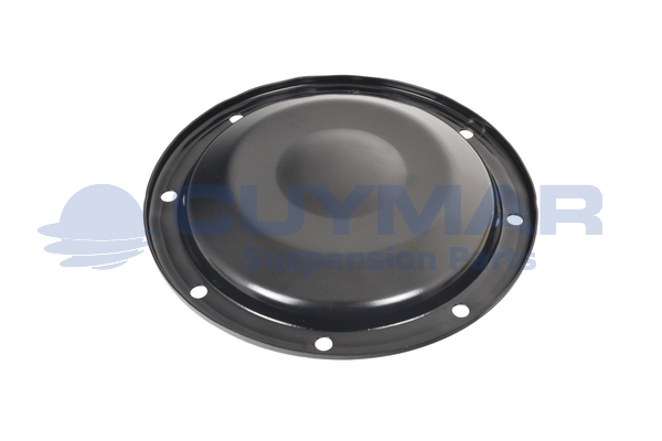Capac de protectie,butuc roata 3412292 CUYMAR