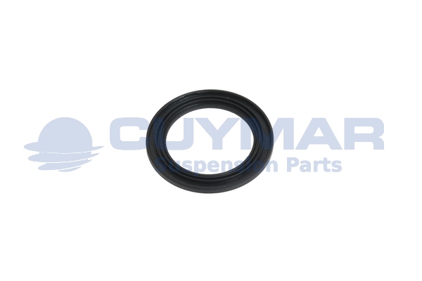 Inel etansare, stabilizator cabina conducator 4203159 CUYMAR
