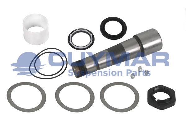 Set reparatie, pivot 5902008 CUYMAR