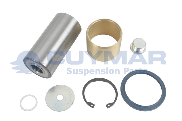 Set reparatie, pivot 5908201 CUYMAR