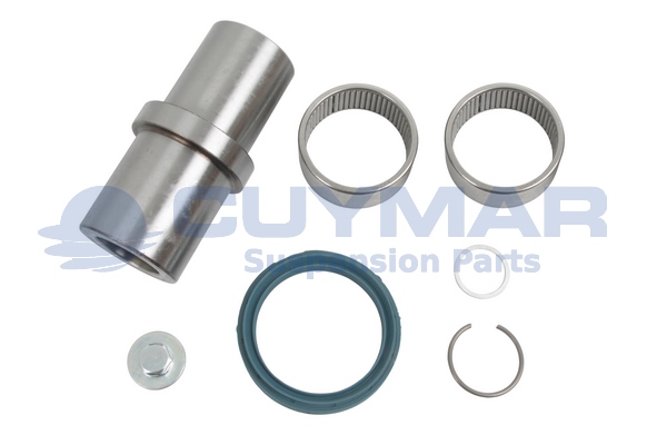 Set reparatie, pivot 5908202 CUYMAR