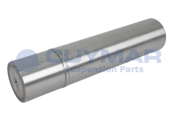 Set reparatie, pivot 5908406 CUYMAR
