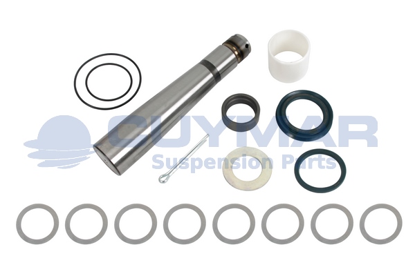Set reparatie, pivot 5912003 CUYMAR