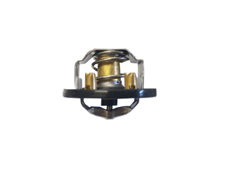 Termostat,lichid racire 101046 ORVIP