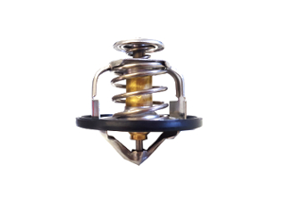 Termostat,lichid racire 101094 ORVIP
