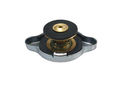 Buson,radiator 121017 ORVIP