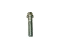 Surub,capac protector 54022 ORVIP
