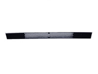 Grila radiator 57158 ORVIP