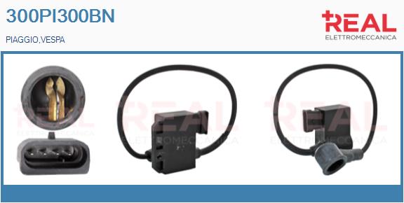 Bobina de inductie 300PI300BN REAL