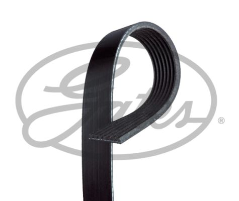 Curea transmisie cu caneluri 7PK1105 GATES-SEA