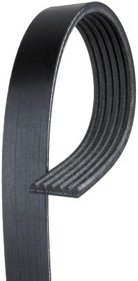 Curea transmisie cu caneluri K060509 GATES-MX