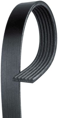 Curea transmisie cu caneluri K060555 GATES-MX
