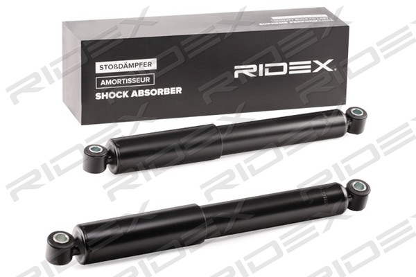Amortizor 854S18063 RIDEX