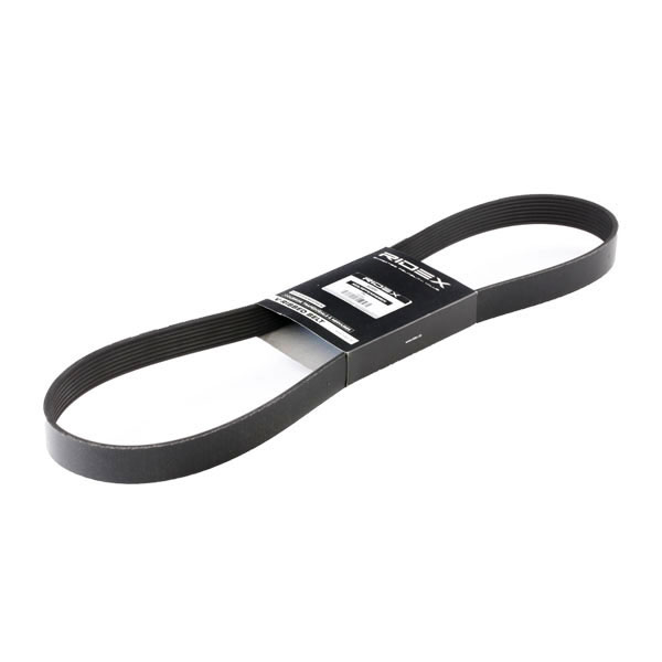 Curea transmisie cu caneluri 305P0155 RIDEX