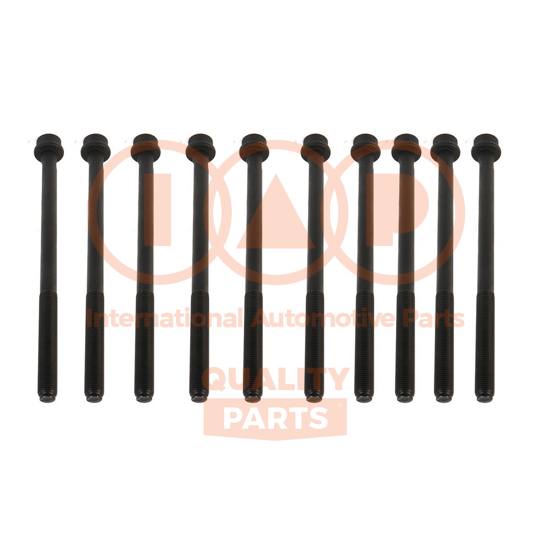 Set surub, chiulasa 119-16102 IAP QUALITY PARTS