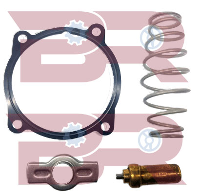 Termostat,lichid racire BRAC1087 BOTTO RICAMBI