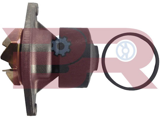 Pompă de apă, răcire motor BRAC2854 BOTTO RICAMBI