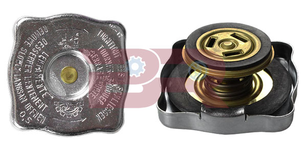 Buson,vas expansiune BRAC5407 BOTTO RICAMBI