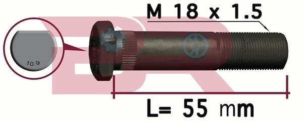 Bolt roata BRD8346 BOTTO RICAMBI