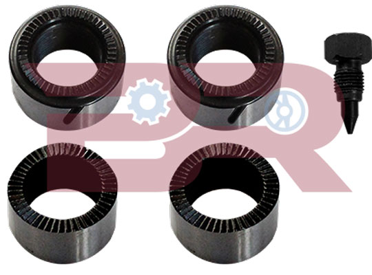 Set reparatie, reglare automata BRFR1268 BOTTO RICAMBI