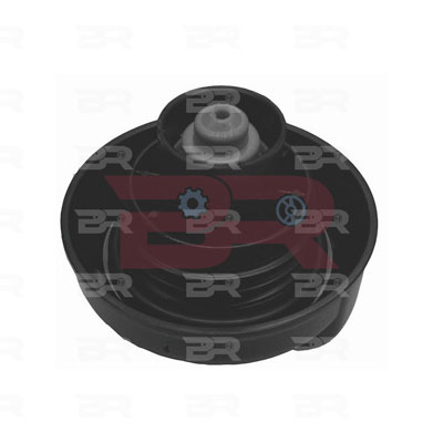 Buson,rezervor de combustibil BRM4798 BOTTO RICAMBI