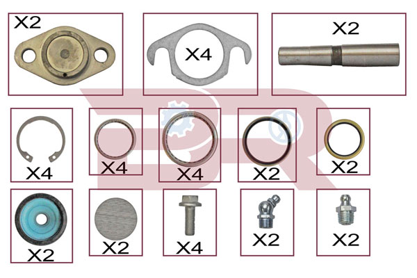 Set reparatie, pivot KITIV025 BOTTO RICAMBI