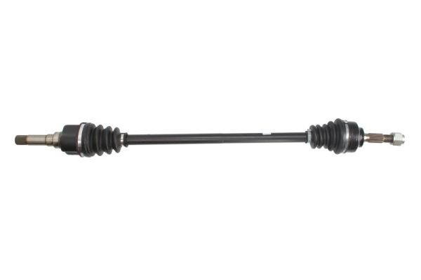 Planetara PNG73019 POINT GEAR