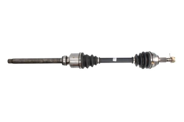 Planetara PNG73029 POINT GEAR