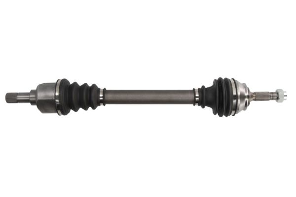 Planetara PNG74685 POINT GEAR