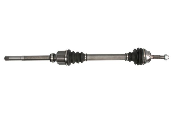 Planetara PNG74686 POINT GEAR