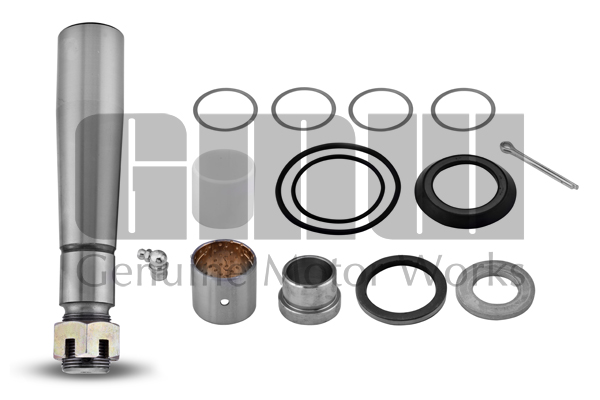 Set reparatie, pivot KP309267 GMW