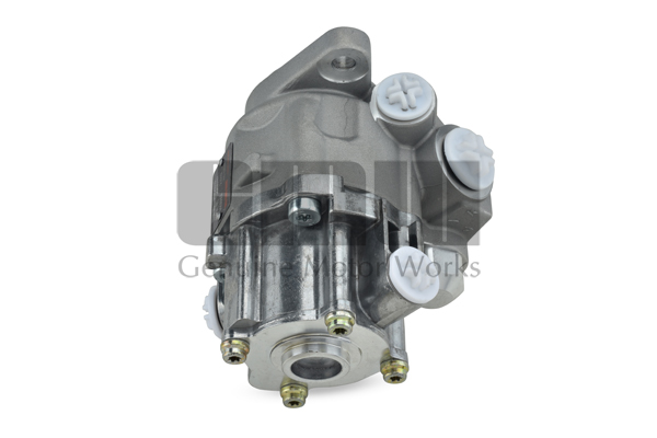 Pompa hidraulica, sistem de directie PM04810 GMW