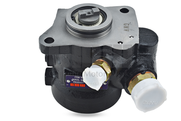 Pompa hidraulica, sistem de directie PM55116 GMW