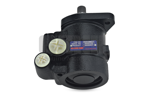 Pompa hidraulica, sistem de directie PM55213 GMW