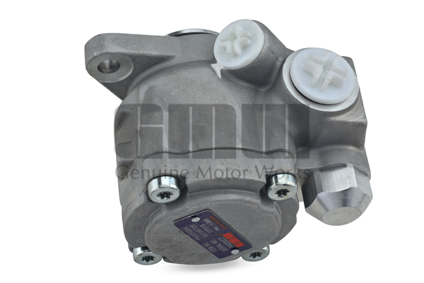 Pompa hidraulica, sistem de directie PM55324 GMW
