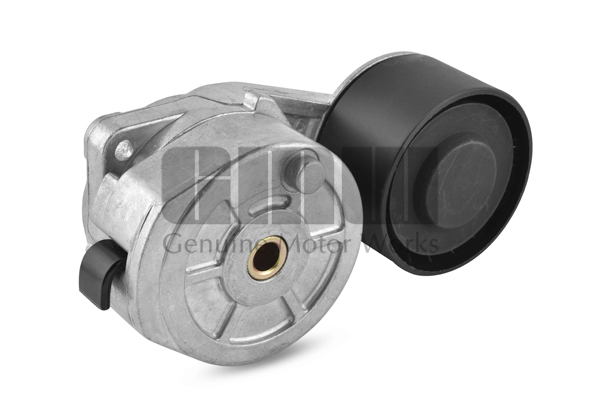 Intinzator,curea transmisie GT56011 GMW