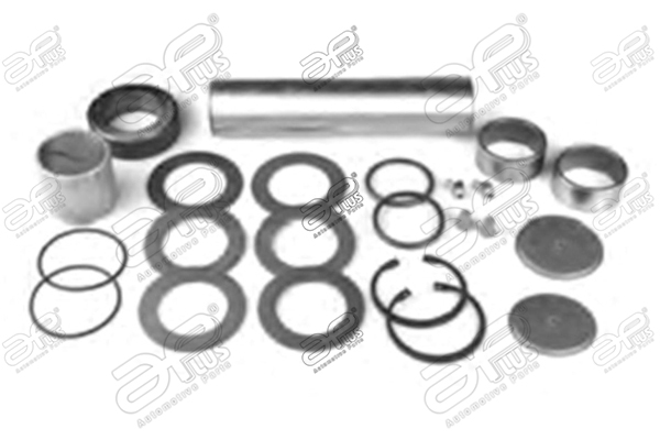 Set reparatie, pivot 20530AP APlus