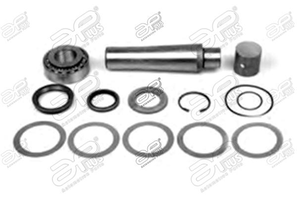 Set reparatie, pivot 20540AP APlus