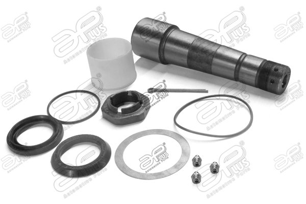 Set reparatie, pivot 20865AP APlus