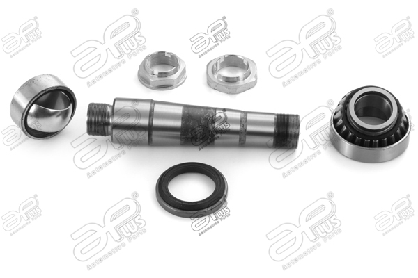 Set reparatie, pivot 20868AP APlus