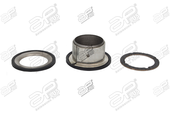 Bucsa, lagare cabina sofer 22464AP APlus