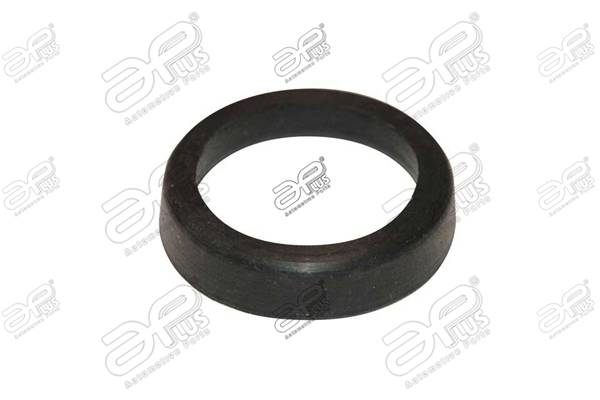 Bucsa, lagare cabina sofer 30374AP APlus