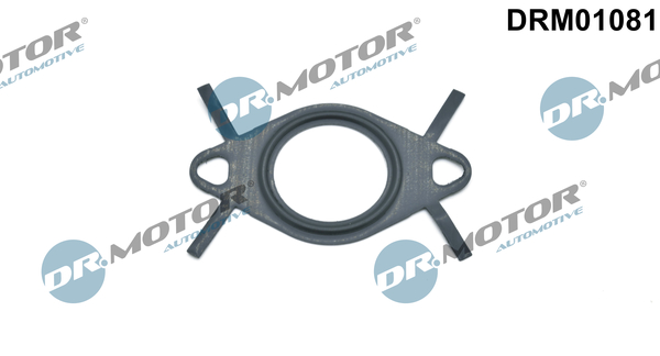 Garnitura, conducta supapa-AGR DRM01081 Dr.Motor Automotive