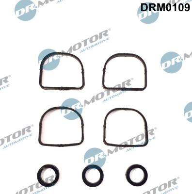 Set garnituri, galerie admisie DRM0109 Dr.Motor Automotive