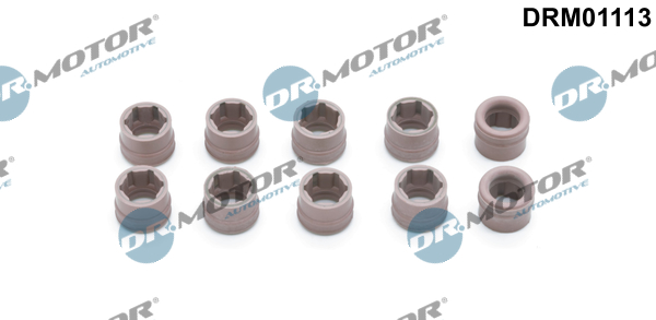 Set reparatie, sistem de climatizare DRM01113 Dr.Motor Automotive
