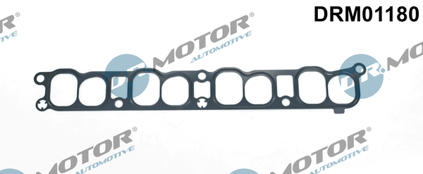 Garnitura, galerie admisie DRM01180 Dr.Motor Automotive