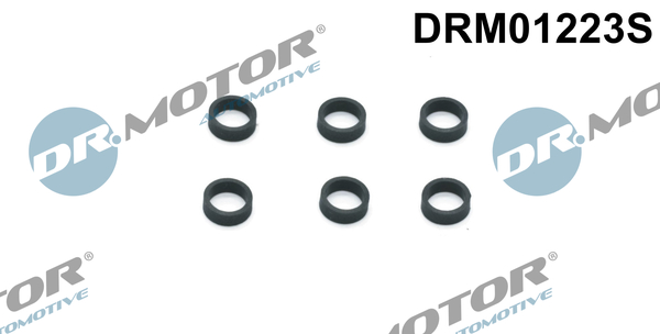 Simering, suport diuza DRM01223S Dr.Motor Automotive