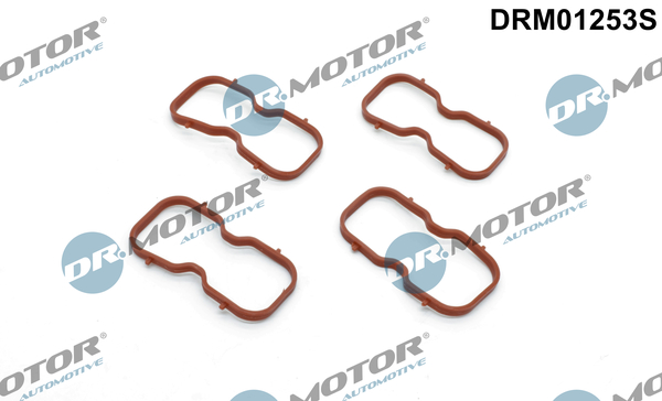 Set garnituri, galerie admisie DRM01253S Dr.Motor Automotive