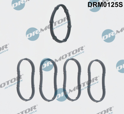 Set garnituri, galerie admisie DRM0125S Dr.Motor Automotive